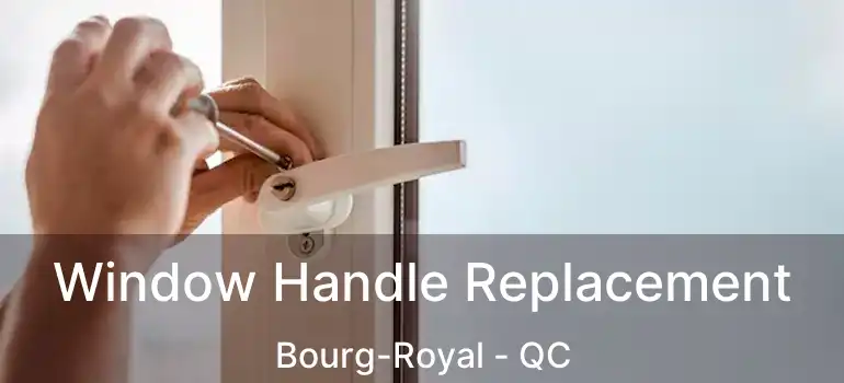  Window Handle Replacement Bourg-Royal - QC