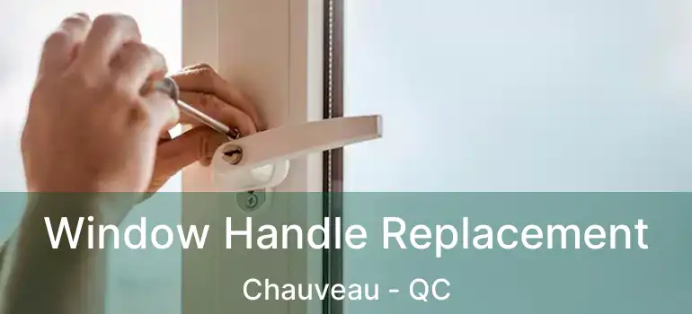  Window Handle Replacement Chauveau - QC