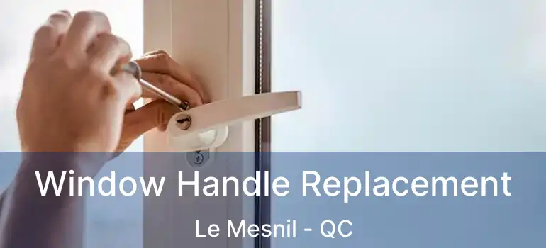  Window Handle Replacement Le Mesnil - QC