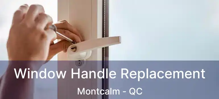  Window Handle Replacement Montcalm - QC
