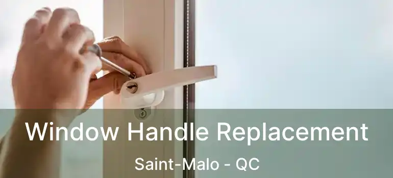  Window Handle Replacement Saint-Malo - QC