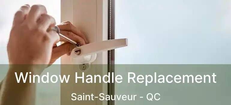  Window Handle Replacement Saint-Sauveur - QC