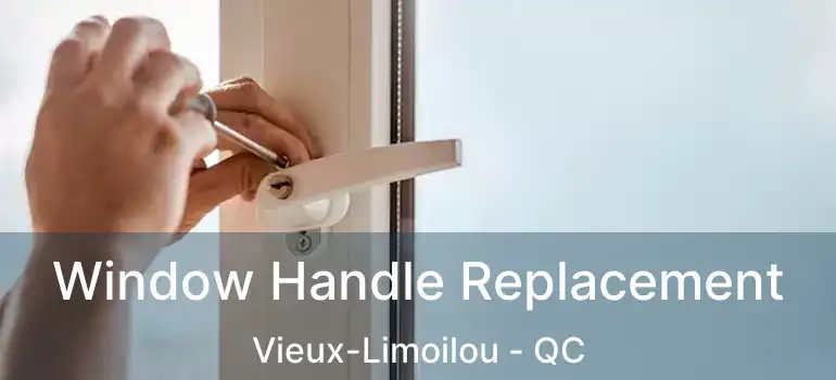  Window Handle Replacement Vieux-Limoilou - QC