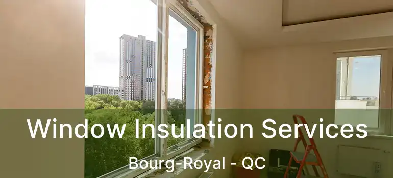 Window Insulation Services Bourg-Royal - QC