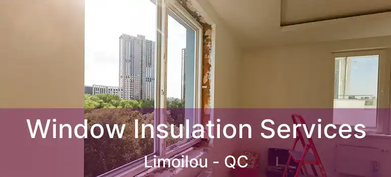  Window Insulation Services Limoilou - QC