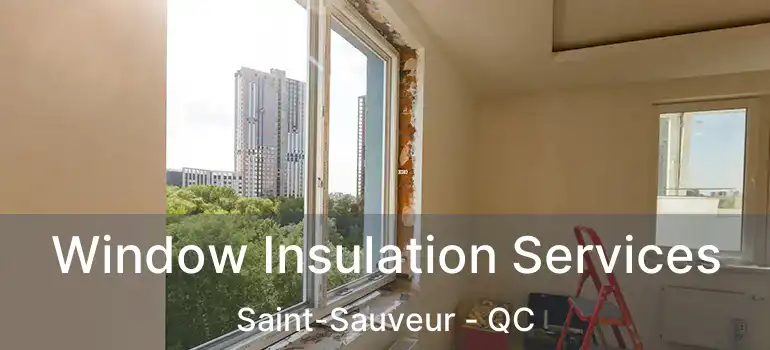  Window Insulation Services Saint-Sauveur - QC