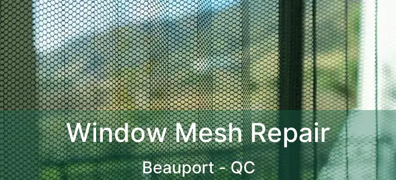  Window Mesh Repair Beauport - QC
