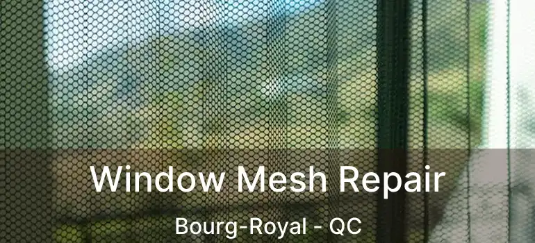  Window Mesh Repair Bourg-Royal - QC
