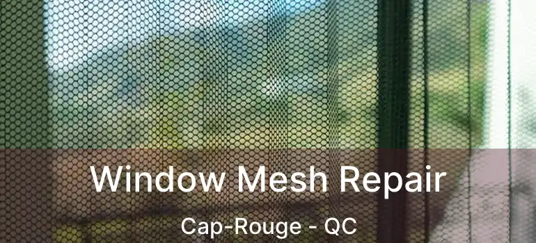  Window Mesh Repair Cap-Rouge - QC