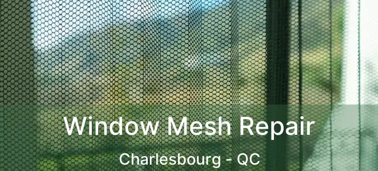  Window Mesh Repair Charlesbourg - QC