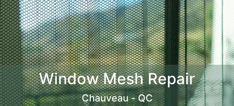  Window Mesh Repair Chauveau - QC