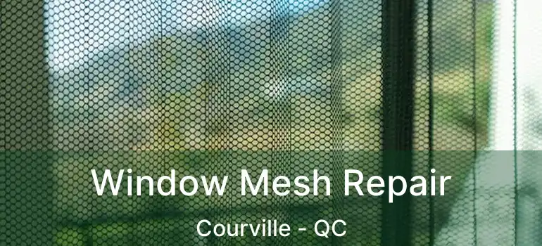  Window Mesh Repair Courville - QC
