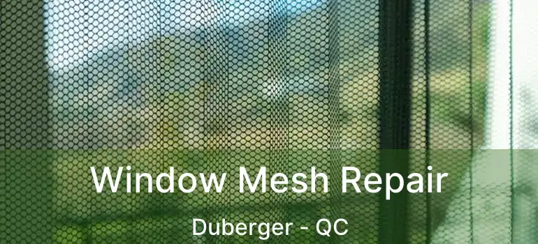  Window Mesh Repair Duberger - QC