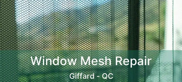  Window Mesh Repair Giffard - QC