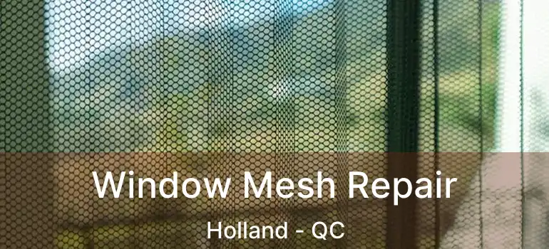  Window Mesh Repair Holland - QC