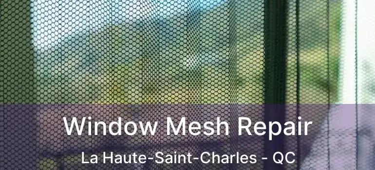 Window Mesh Repair La Haute-Saint-Charles - QC