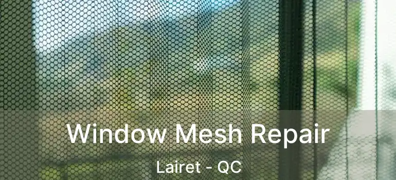  Window Mesh Repair Lairet - QC