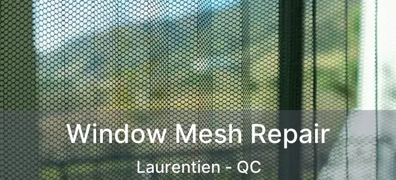  Window Mesh Repair Laurentien - QC