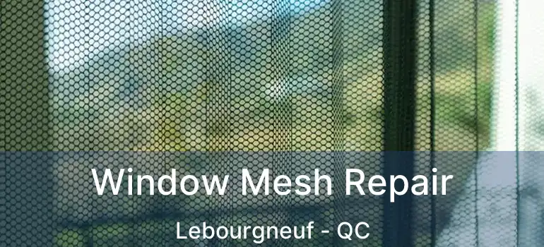  Window Mesh Repair Lebourgneuf - QC