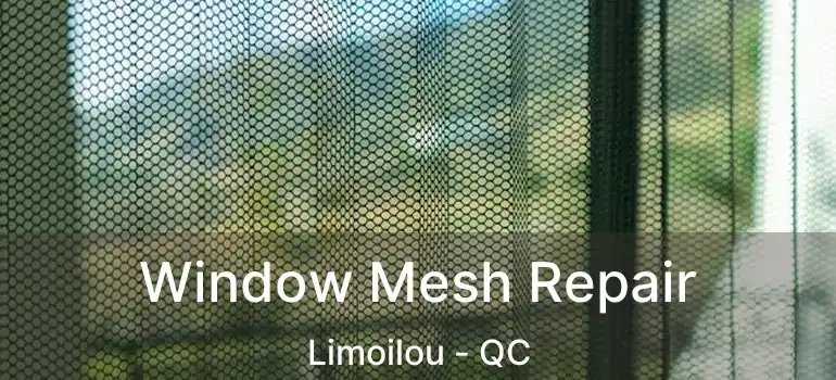  Window Mesh Repair Limoilou - QC