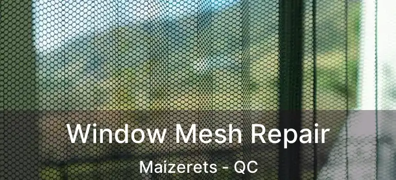  Window Mesh Repair Maizerets - QC
