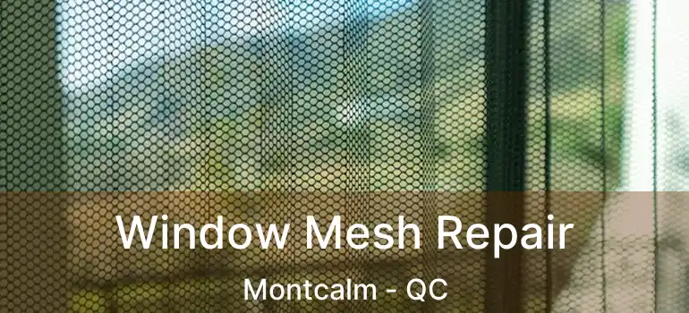  Window Mesh Repair Montcalm - QC
