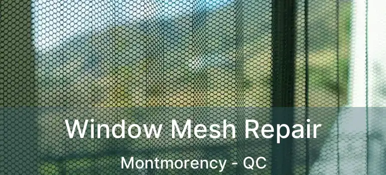  Window Mesh Repair Montmorency - QC