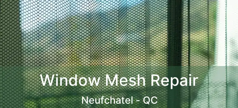  Window Mesh Repair Neufchatel - QC