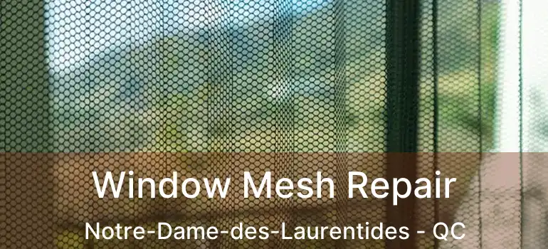  Window Mesh Repair Notre-Dame-des-Laurentides - QC