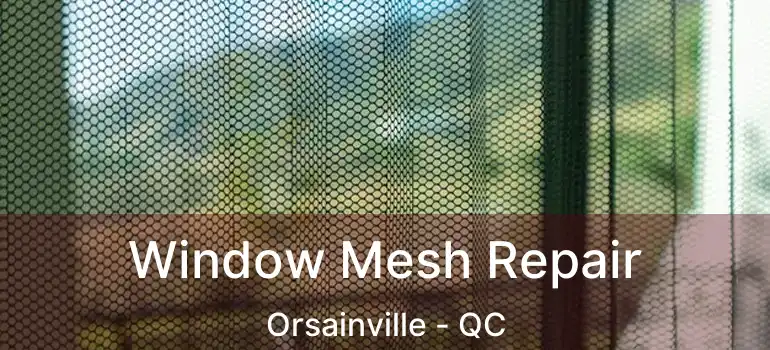  Window Mesh Repair Orsainville - QC