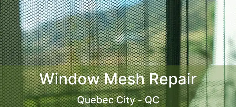  Window Mesh Repair Quebec City - QC