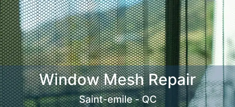  Window Mesh Repair Saint-emile - QC