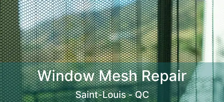 Window Mesh Repair Saint-Louis - QC