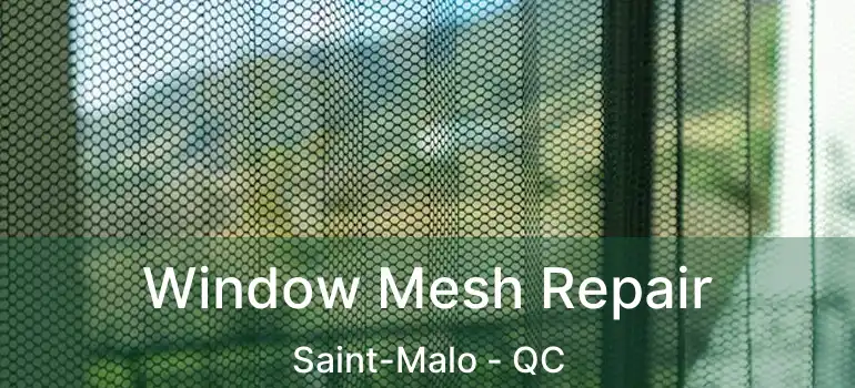  Window Mesh Repair Saint-Malo - QC