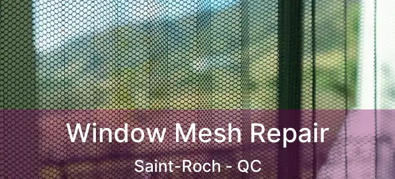  Window Mesh Repair Saint-Roch - QC