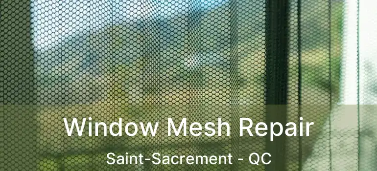  Window Mesh Repair Saint-Sacrement - QC