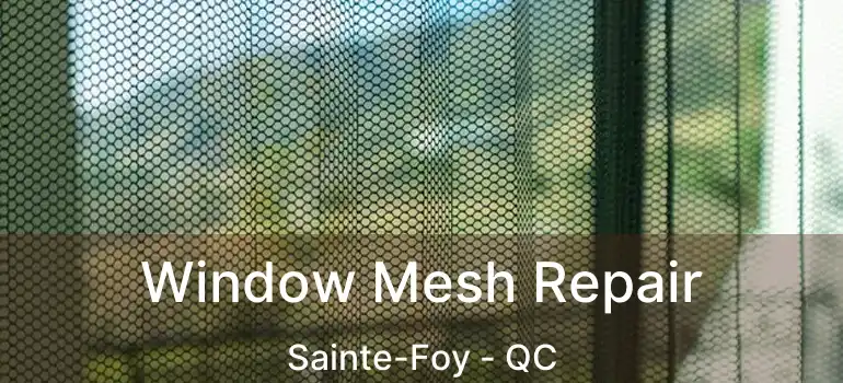  Window Mesh Repair Sainte-Foy - QC
