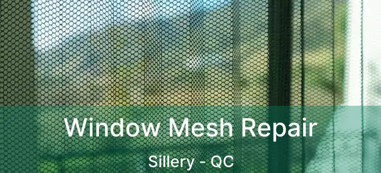  Window Mesh Repair Sillery - QC
