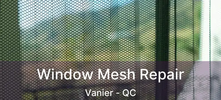  Window Mesh Repair Vanier - QC