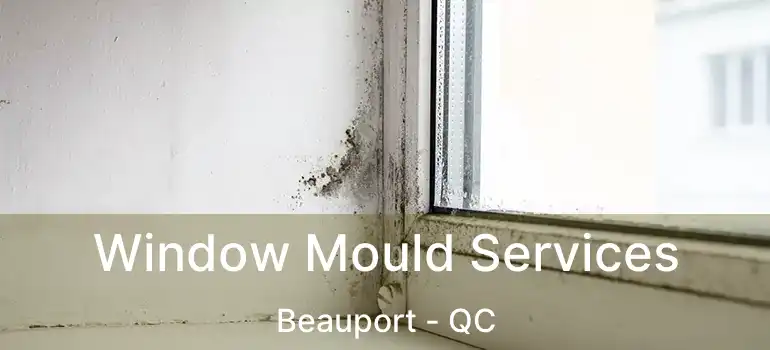  Window Mould Services Beauport - QC