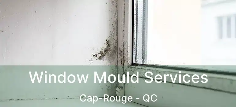  Window Mould Services Cap-Rouge - QC