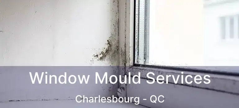  Window Mould Services Charlesbourg - QC