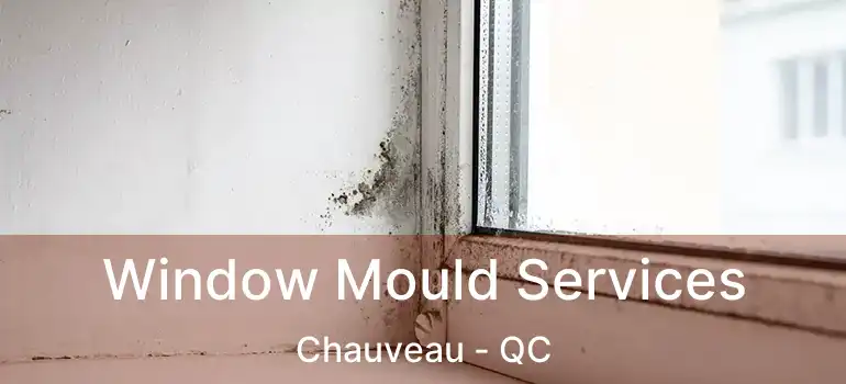  Window Mould Services Chauveau - QC
