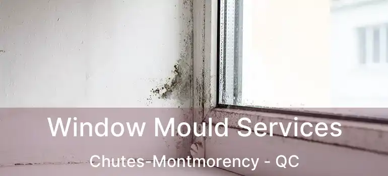  Window Mould Services Chutes-Montmorency - QC