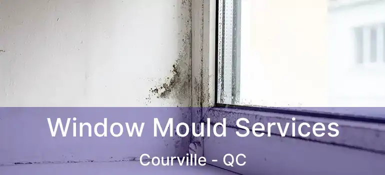  Window Mould Services Courville - QC