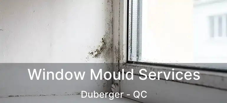  Window Mould Services Duberger - QC