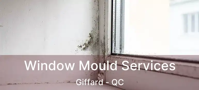  Window Mould Services Giffard - QC