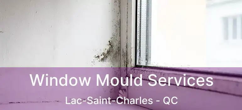  Window Mould Services Lac-Saint-Charles - QC