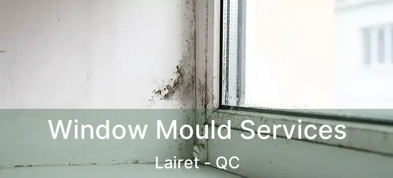  Window Mould Services Lairet - QC