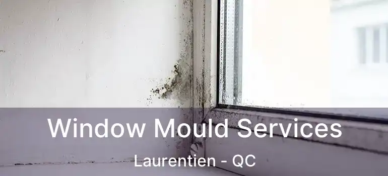 Window Mould Services Laurentien - QC